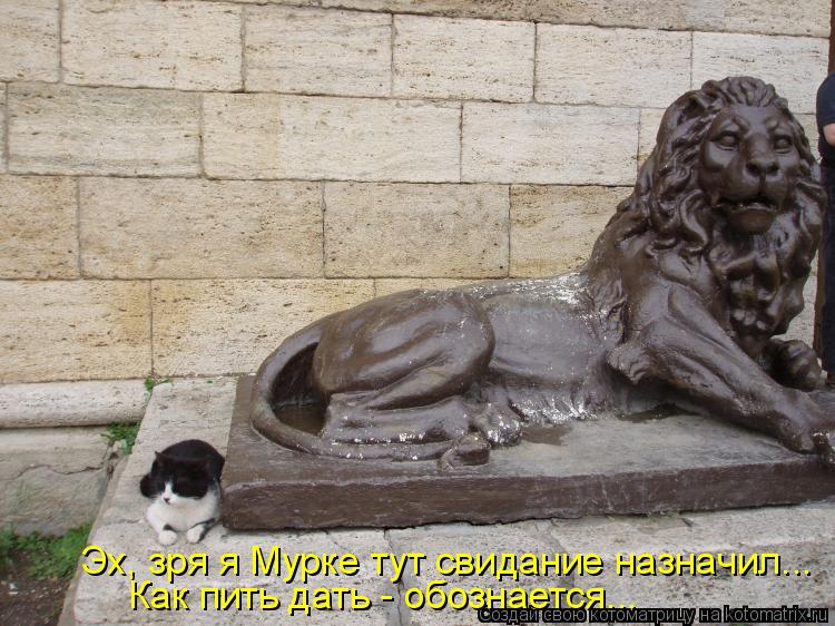 Котоматрица: Эх, зря я Мурке тут свидание назначил... Как пить дать - обознается...