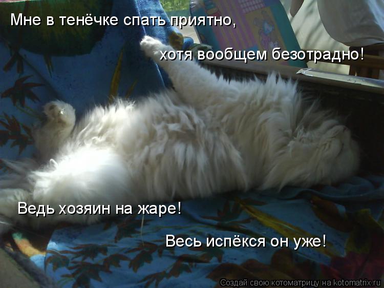 Мне в тенёчке спать приятно, Ведь хозяин на жаре! Весь испёкся он уже! хотя вообщем безотрадно!... Котоматрица: Мне в тенёчке спать приятно, Ведь хозяин на жаре! Весь испёкся он уже! хотя вообщем безотрадно!