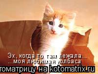 Эх, когда то там лежала... ...моя любимая колбаса... Котоматрица: Эх, когда то там лежала... ...моя любимая колбаса