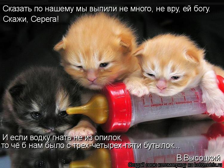 Сказать по нашему мы выпили не много, не вру, ей богу. Скажи, Серега! И если водку гнать не из опилок... Котоматрица: Сказать по нашему мы выпили не много, не вру, ей богу. Скажи, Серега! И если водку гнать не из опилок, то чё б нам было с трех-четырех-пяти буты