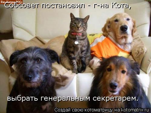 Собсовет постановил - г-на Кота, выбрать генеральным секретарем.... Котоматрица: Собсовет постановил - г-на Кота, выбрать генеральным секретарем.