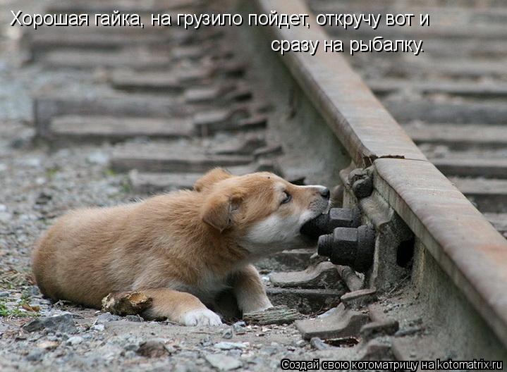 сразу на рыбалку. Хорошая гайка, на грузило пойдет, откручу вот и... Котоматрица: сразу на рыбалку. Хорошая гайка, на грузило пойдет, откручу вот и