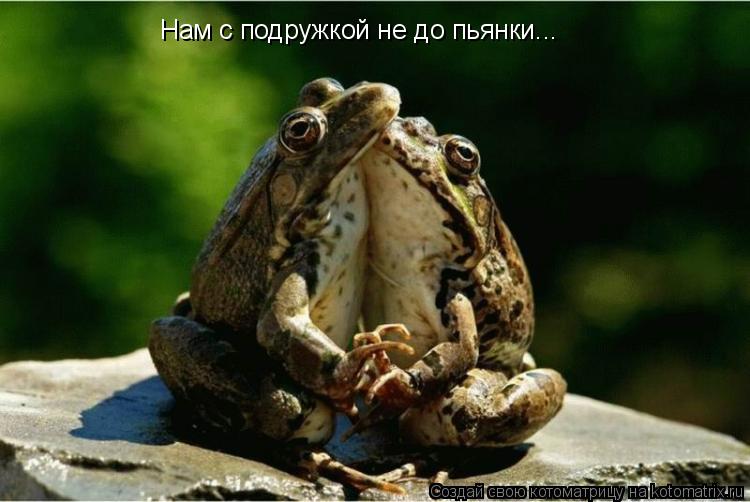 Нам с подружкой не до пьянки...... Котоматрица: Нам с подружкой не до пьянки...