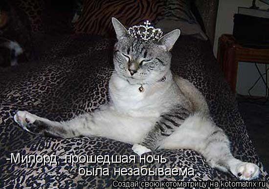 -Милорд, прошедшая ночь была незабываема....... Котоматрица: -Милорд, прошедшая ночь была незабываема....