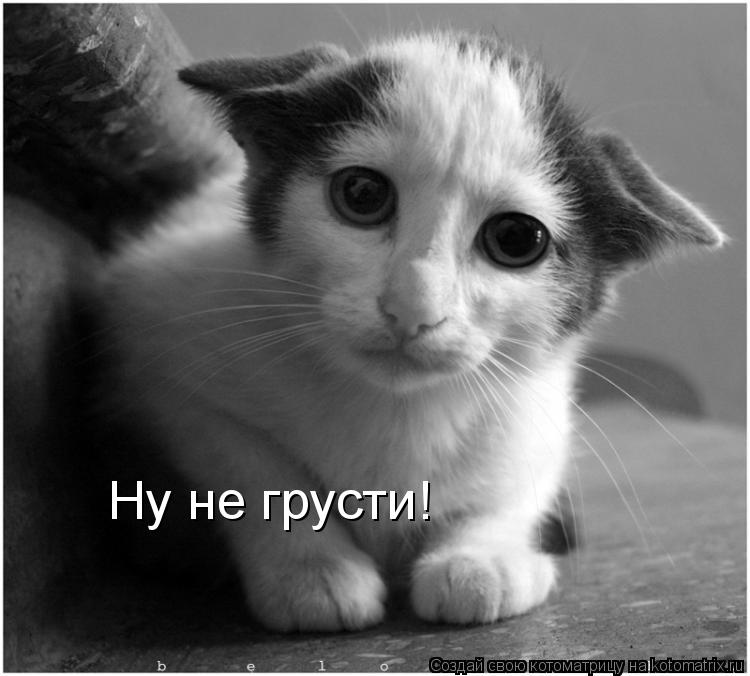 Ну не грусти!... Котоматрица: Ну не грусти!