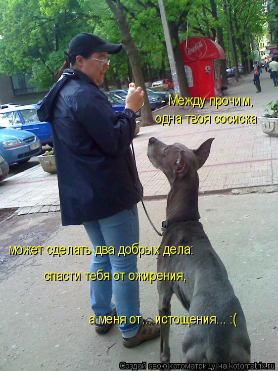 - Между прочим, одна твоя сосиска может сделать два добрых дела: спасти тебя от ожирения, а меня от..... Котоматрица: - Между прочим, одна твоя сосиска может сделать два добрых дела: спасти тебя от ожирения, а меня от... истощения... :(