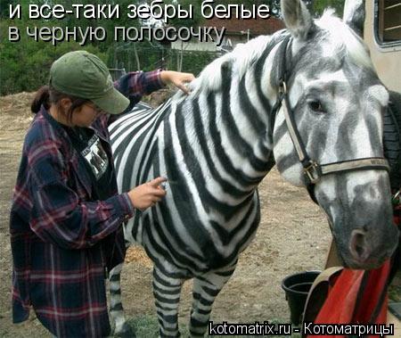 и все-таки зебры белые в черную полосочку... Котоматрица: и все-таки зебры белые в черную полосочку