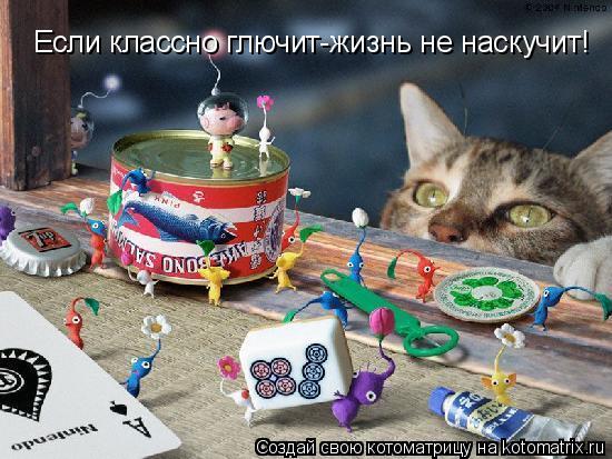 Если классно глючит-жизнь не наскучит!... Котоматрица: Если классно глючит-жизнь не наскучит!