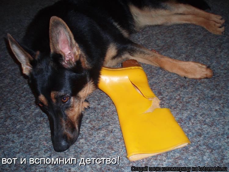 вот и вспомнил детство!... Котоматрица: вот и вспомнил детство!
