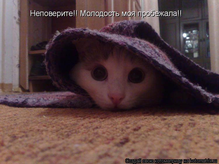 Неповерите!! Молодость моя пробежала!!... Котоматрица: Неповерите!! Молодость моя пробежала!!
