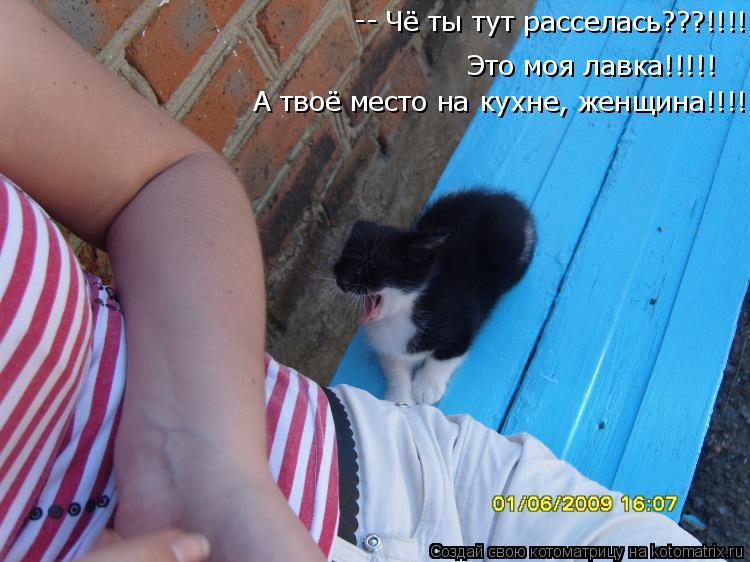Чё ты тут расселась???!!!! Это моя лавка!!!!! А твоё место на кухне, женщина!!!! --... Котоматрица: Чё ты тут расселась???!!!! Это моя лавка!!!!! А твоё место на кухне, женщина!!!! --
