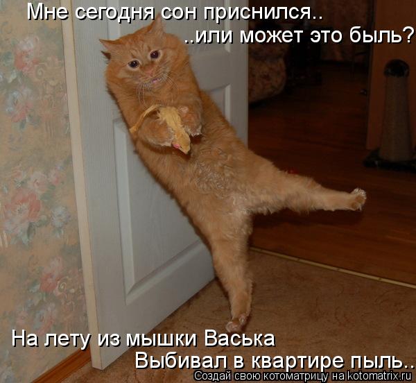 Мне сегодня сон приснился.. ..или может это быль? На лету из мышки Васька Выбивал в квартире пыль.... Котоматрица: Мне сегодня сон приснился.. ..или может это быль? На лету из мышки Васька Выбивал в квартире пыль..