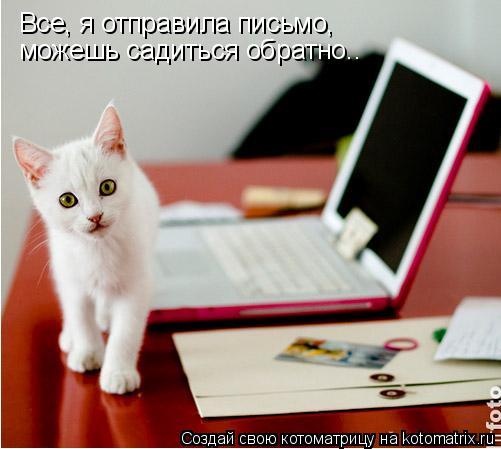 Все, я отправила письмо, можешь садиться обратно..... Котоматрица: Все, я отправила письмо, можешь садиться обратно..