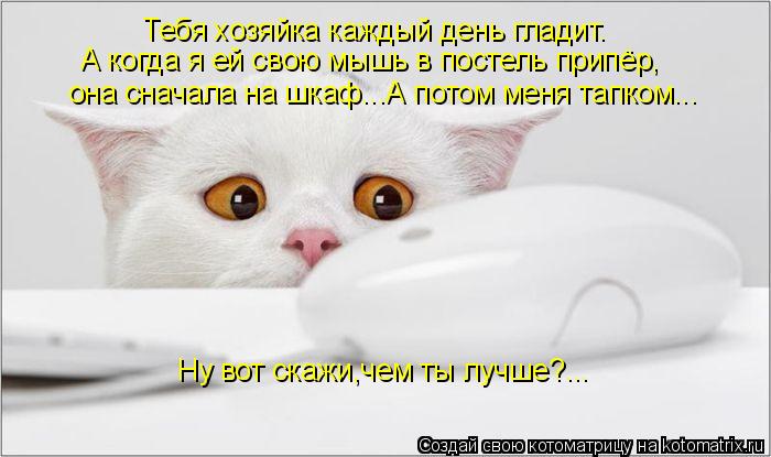 Тебя хозяйка каждый день гладит. А когда я ей свою мышь в постель припёр, она сначала на шкаф...А пот... Котоматрица: Тебя хозяйка каждый день гладит. А когда я ей свою мышь в постель припёр, она сначала на шкаф...А потом меня тапком... Ну вот скажи,чем ты лучше?