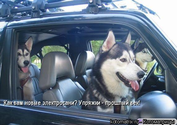 Как вам новые электросани? Упряжки - прошлый век!... Котоматрица: Как вам новые электросани? Упряжки - прошлый век!