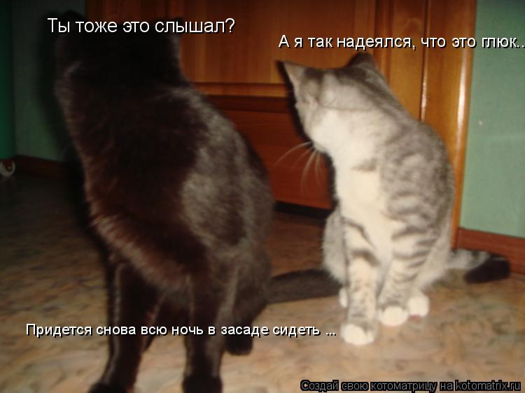 Ты тоже это слышал? А я так надеялся, что это глюк.. Придется снова всю ночь в засаде сидеть ...... Котоматрица: Ты тоже это слышал? А я так надеялся, что это глюк.. Придется снова всю ночь в засаде сидеть ...
