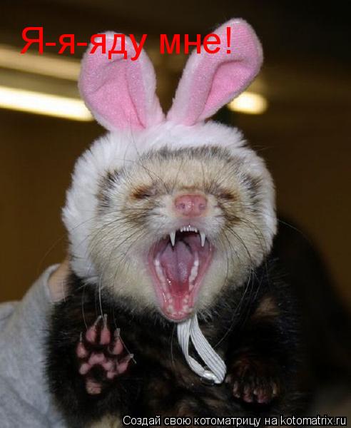 Я-я-яду мне!... Котоматрица: Я-я-яду мне!