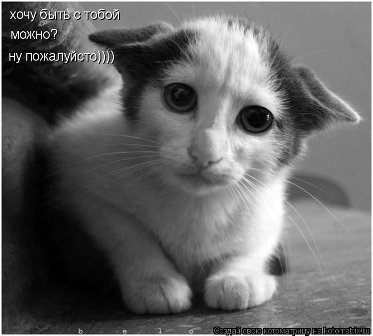 хочу быть с тобой можно? ну пожалуйсто))))... Котоматрица: хочу быть с тобой можно? ну пожалуйсто))))