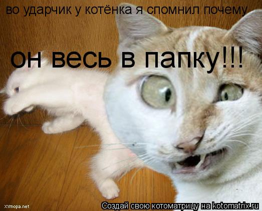 во ударчик у котёнка я спомнил почему он весь в папку!!!... Котоматрица: во ударчик у котёнка я спомнил почему он весь в папку!!!
