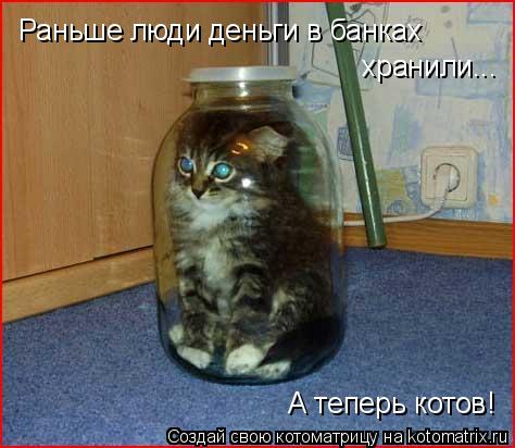 Раньше люди деньги в банках хранили... А теперь котов!... Котоматрица: Раньше люди деньги в банках хранили... А теперь котов!