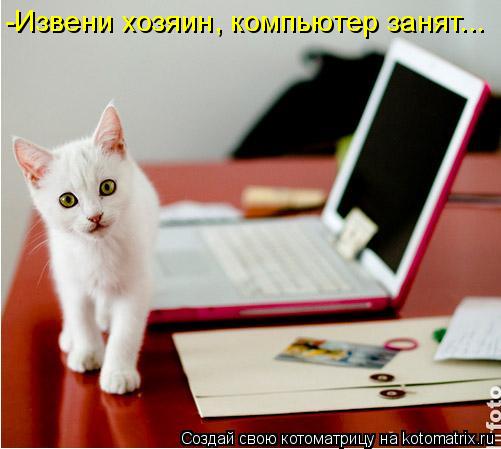 Котоматрица: -Извени хозяин, компьютер занят...