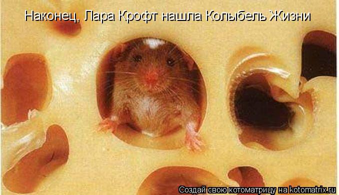 Наконец, Лара Крофт нашла Колыбель Жизни... Котоматрица: Наконец, Лара Крофт нашла Колыбель Жизни