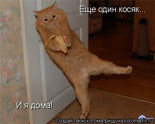 Еще один косяк... И я дома!... Котоматрица: Еще один косяк... И я дома!