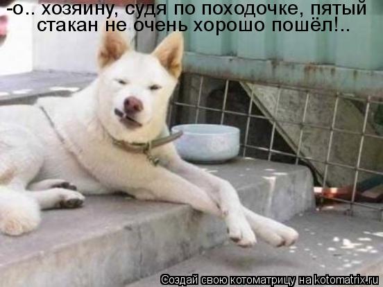 -о.. хозяину, судя по походочке, пятый стакан не очень хорошо пошёл!..... Котоматрица: -о.. хозяину, судя по походочке, пятый стакан не очень хорошо пошёл!..