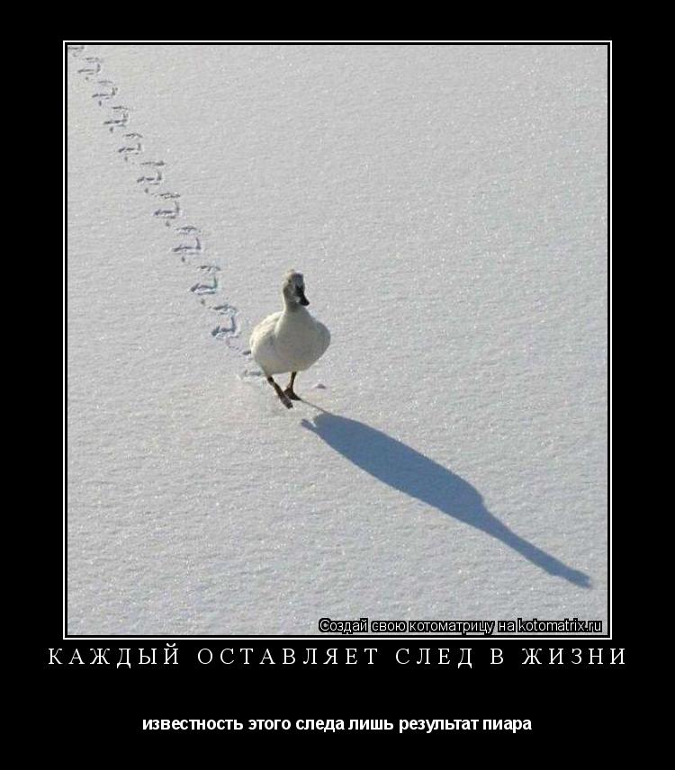 Каждый оставляет след в жизни известность этого следа лишь результат пиара... Котоматрица: Каждый оставляет след в жизни известность этого следа лишь результат пиара