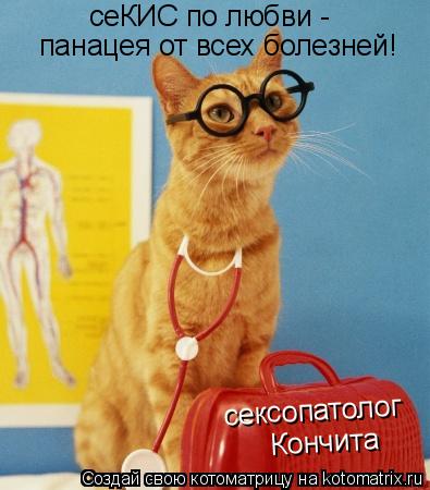 сеКИС по любви - панацея от всех болезней! сексопатолог Кончита... Котоматрица: сеКИС по любви - панацея от всех болезней! сексопатолог Кончита