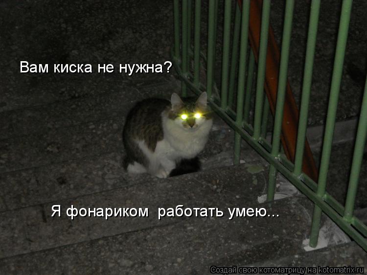 Вам киска не нужна? Я фонариком работать умею...... Котоматрица: Вам киска не нужна? Я фонариком работать умею...