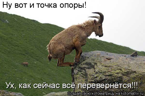 Ну вот и точка опоры! Ух, как сейчас всё перевернётся!!!... Котоматрица: Ну вот и точка опоры! Ух, как сейчас всё перевернётся!!!