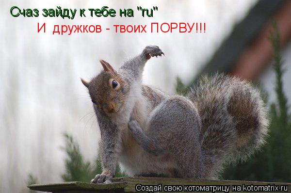 Счаз зайду к тебе на "ru" И дружков - твоих ПОРВУ!!!... Котоматрица: Счаз зайду к тебе на "ru" И дружков - твоих ПОРВУ!!!