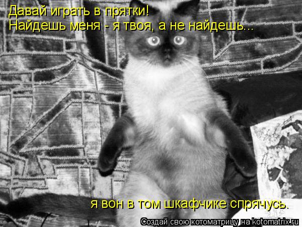Давай играть в прятки! Найдешь меня - я твоя, а не найдешь... я вон в том шкафчике спрячусь.... Котоматрица: Давай играть в прятки! Найдешь меня - я твоя, а не найдешь... я вон в том шкафчике спрячусь.