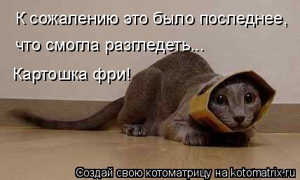 К сожалению это было последнее, что смогла разгледеть... Картошка фри!... Котоматрица: К сожалению это было последнее, что смогла разгледеть... Картошка фри!