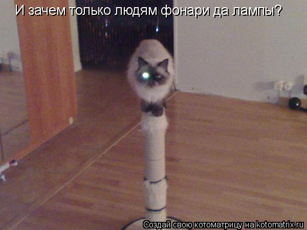 И зачем только людям фонари да лампы?... Котоматрица: И зачем только людям фонари да лампы?