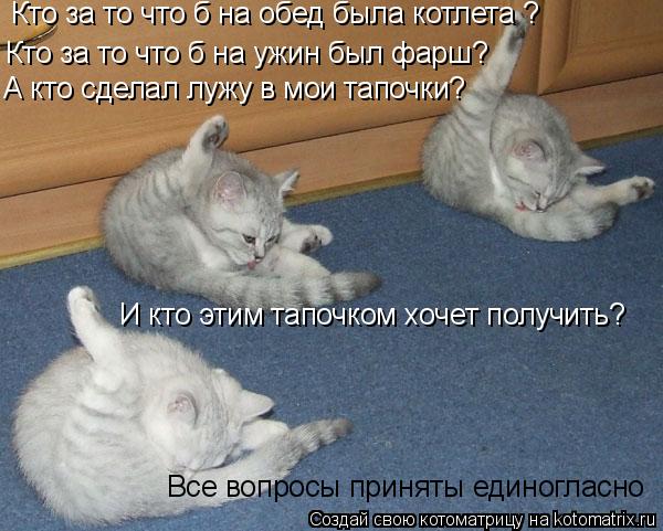 Кто за то что б на обед была котлета ? Кто за то что б на ужин был фарш? А кто сделал лужу в мои тапо... Котоматрица: Кто за то что б на обед была котлета ? Кто за то что б на ужин был фарш? А кто сделал лужу в мои тапочки? И кто этим тапочком хочет получить? Все