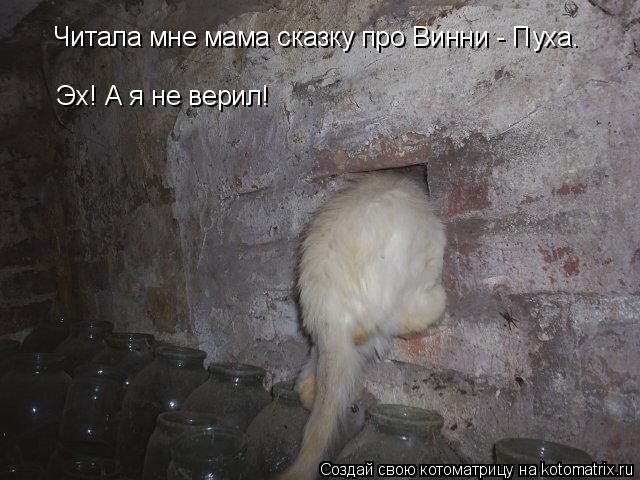 Котоматрица: Читала мне мама сказку про Винни - Пуха. Эх! А я не верил!