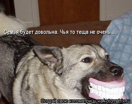 Семья будет довольна. Чья то теща не очень...... Котоматрица: Семья будет довольна. Чья то теща не очень...