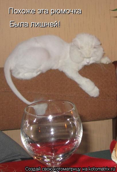 Похоже эта рюмочка Была лишней!... Котоматрица: Похоже эта рюмочка Была лишней!