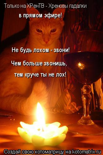 Только на ХРенТВ - Хреновы гадалки в прямом эфире! Не будь лохом - звони! Чем больше звонишь, тем кр... Котоматрица: Только на ХРенТВ - Хреновы гадалки в прямом эфире! Не будь лохом - звони! Чем больше звонишь, тем круче ты не лох!