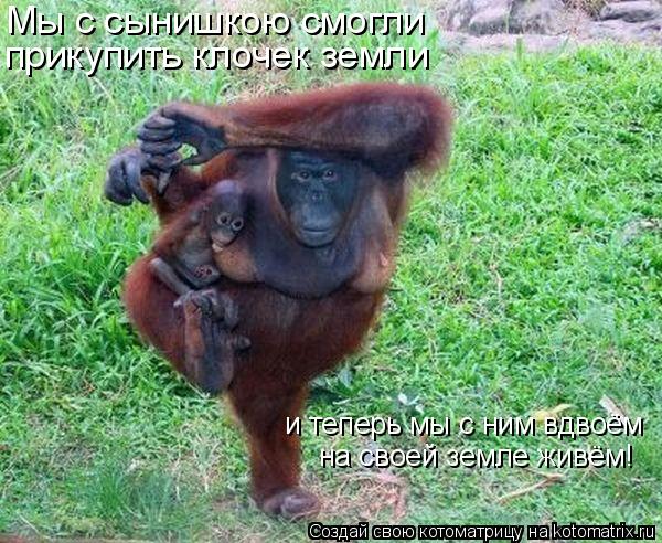 Котоматрица: Мы с сынишкою смогли  прикупить клочек земли и теперь мы с ним вдвоём  на своей земле живём!