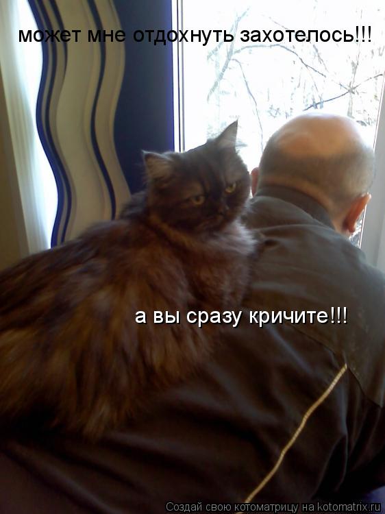 может мне отдохнуть захотелось!!! а вы сразу кричите!!!... Котоматрица: может мне отдохнуть захотелось!!! а вы сразу кричите!!!