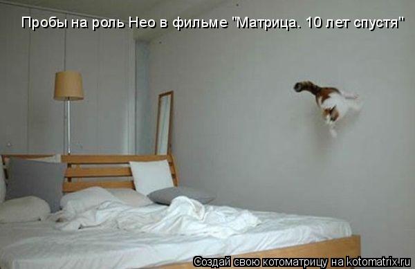 Пробы на роль Нео в фильме "Матрица. 10 лет спустя"... Котоматрица: Пробы на роль Нео в фильме "Матрица. 10 лет спустя"
