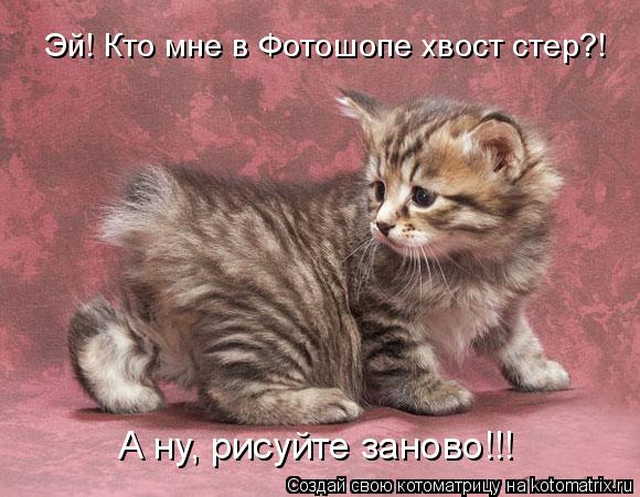 Котоматрица: Эй! Кто мне в Фотошопе хвост стер?! А ну, рисуйте заново!!!
