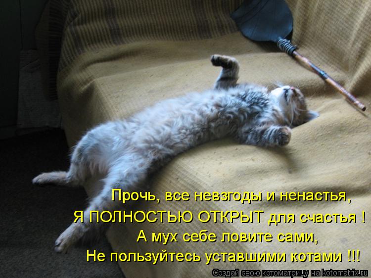 Котоматрица: Прочь, все невзгоды и ненастья, Я ПОЛНОСТЬЮ ОТКРЫТ для счастья ! А мух себе ловите сами, Не пользуйтесь уставшими котами !!!