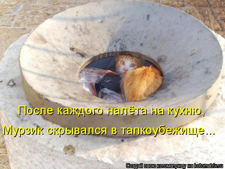 После каждого налёта на кухню, Мурзик скрывался в тапкоубежище...... Котоматрица: После каждого налёта на кухню, Мурзик скрывался в тапкоубежище...