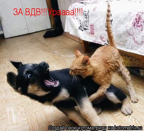 ЗА ВДВ!!!Ураааа!!!!... Котоматрица: ЗА ВДВ!!!Ураааа!!!!
