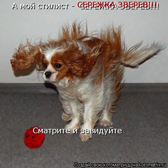 А мой стилист - СЕРЕЖКА ЗВЕРЕВ!!! СЕРЕЖКА ЗВЕРЕВ!!! Сматрите и завидуйте... Котоматрица: А мой стилист - СЕРЕЖКА ЗВЕРЕВ!!! СЕРЕЖКА ЗВЕРЕВ!!! Сматрите и завидуйте