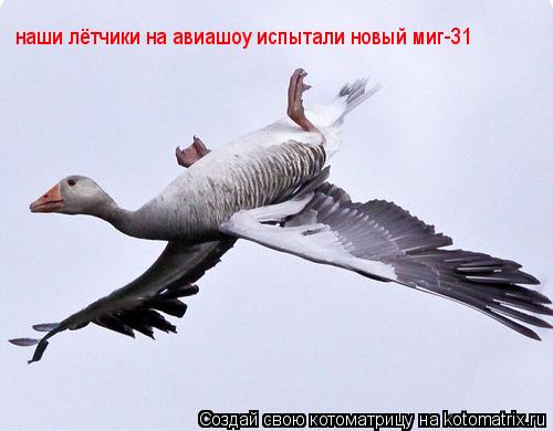 наши лётчики на авиашоу испытали новый миг-31 наши лётчики на авиашоу испытали новый миг-31... Котоматрица: наши лётчики на авиашоу испытали новый миг-31 наши лётчики на авиашоу испытали новый миг-31